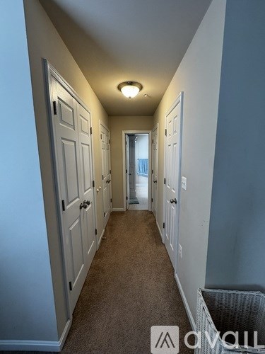 A hallway with white doors and a carpeted floor.
