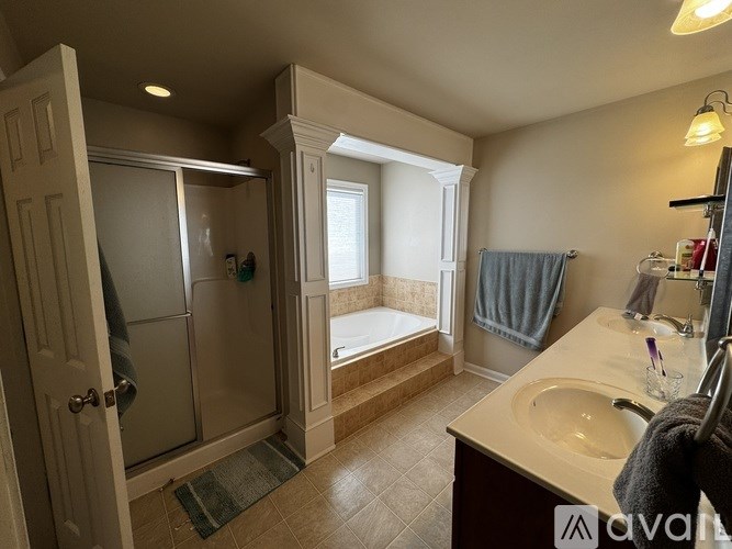 A bathroom with a walk-in shower and a sink.