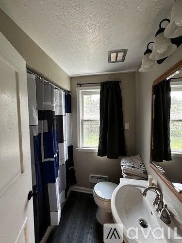 A bathroom with a toilet, sink, and shower curtains.