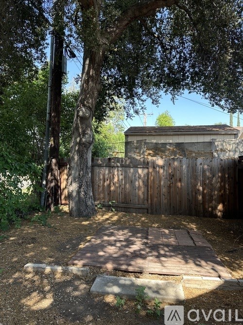 A backyard with a tree, a fence, and a small building.