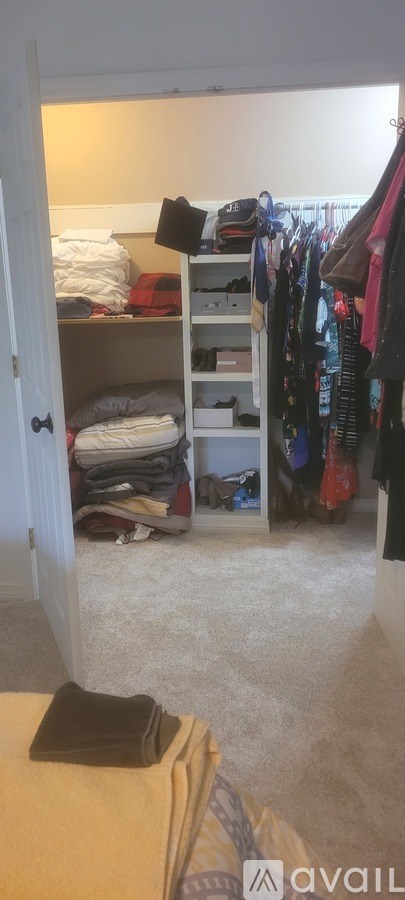 A bedroom with a bed and a closet full of clothes.