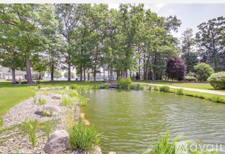 A pond in a park with rocks and plants around it.