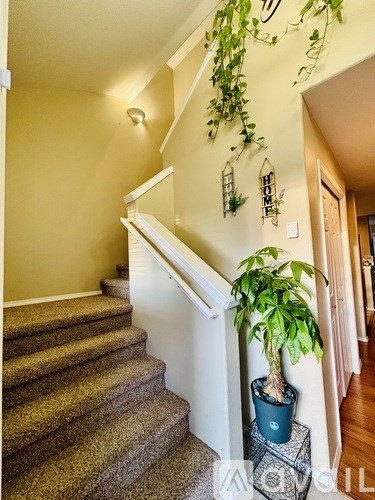 A plant in a blue pot sits on a black crate next to a staircase.
