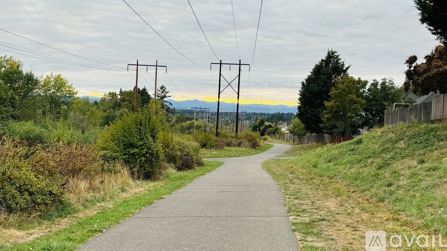 A pathway with grass and bushes on the sides and power lines overhead.