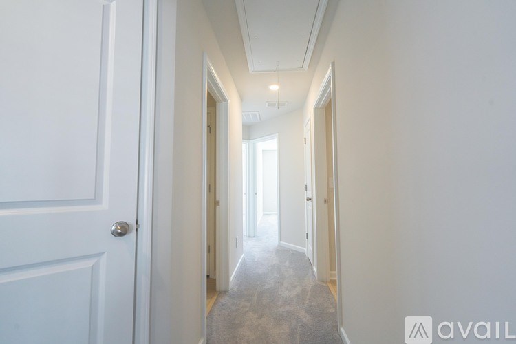A long hallway with doors on both sides and a carpeted floor.