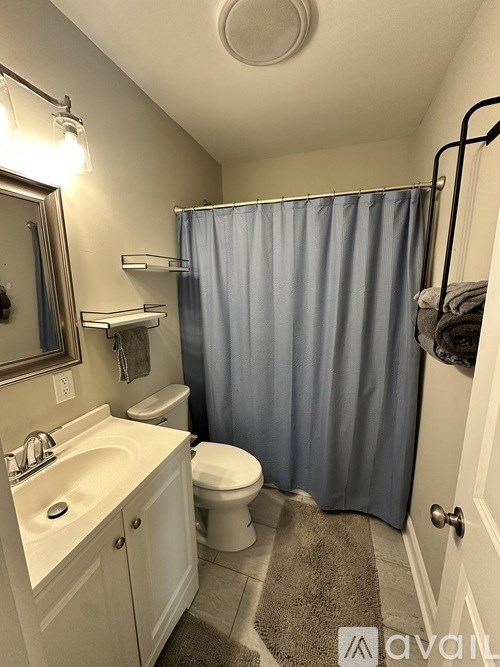 A bathroom with a sink, toilet, and shower curtain.