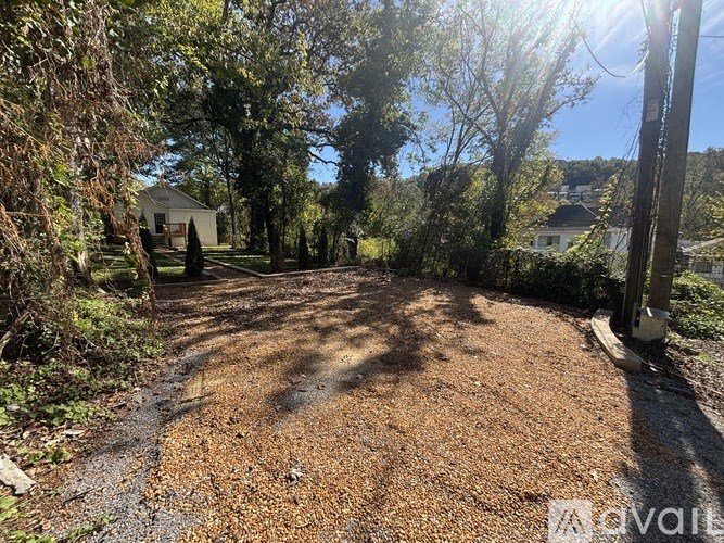 A gravel path leads through a lush green garden.