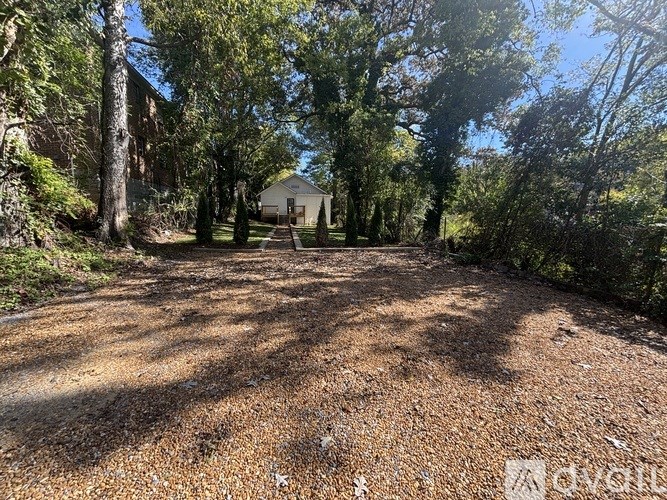 A gravel path leads to a house in a wooded area.