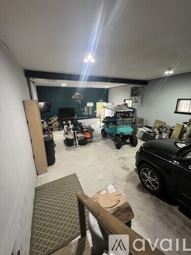 A room with a black car, a green car, and a black and white dog in it.