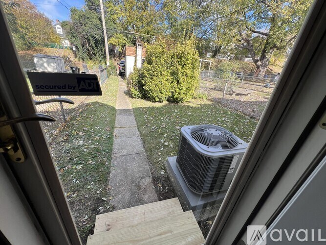 A view from a door looking out to a path and a green shrub.