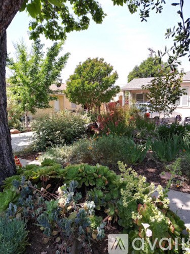 A garden with a variety of plants and trees.