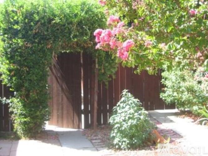 A garden with a pathway and a bush with pink flowers.