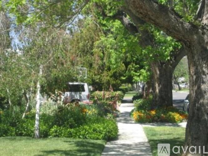 A tree-lined street with a white van parked on the side.