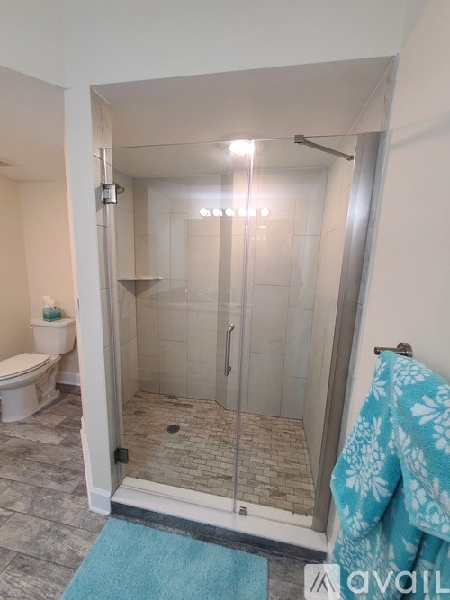 A bathroom with a toilet, a walk-in shower, and a blue rug.