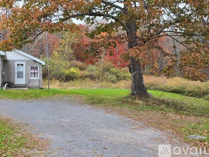 A gravel path leads to a small house in a wooded area.