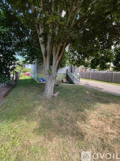 A tree in a yard with a swing hanging from it.