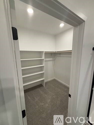 A white closet with shelves and a carpeted floor.