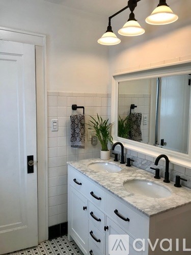 A bathroom with a sink, mirror, and a plant.