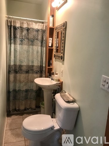 A bathroom with a toilet, sink, and shower curtain.