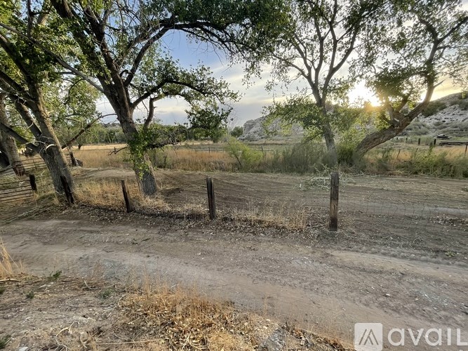 A dirt path with trees and a fence in the background.