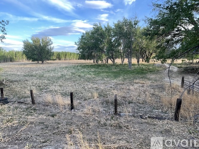 A field with a fence and trees in the distance.