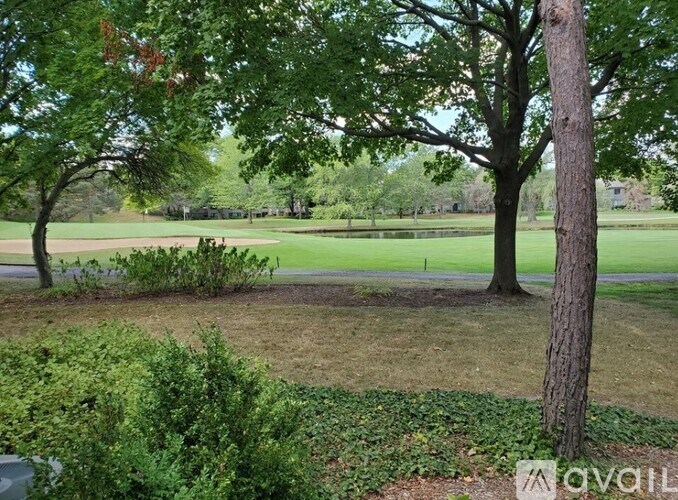 A tree in a field with a fence in the background.