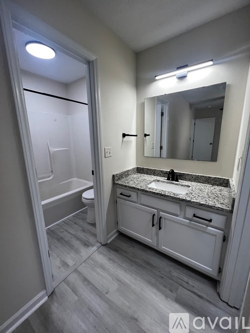 A bathroom with a sink, mirror, and toilet.