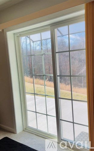 A window with a view of a road and trees.