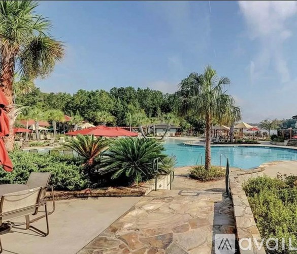 A pool surrounded by palm trees and plants.