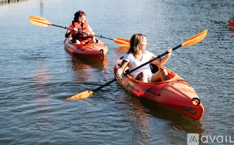 Two people kayaking on a calm body of water.