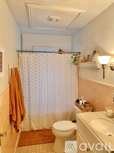 A bathroom with a toilet, sink, and shower curtain.