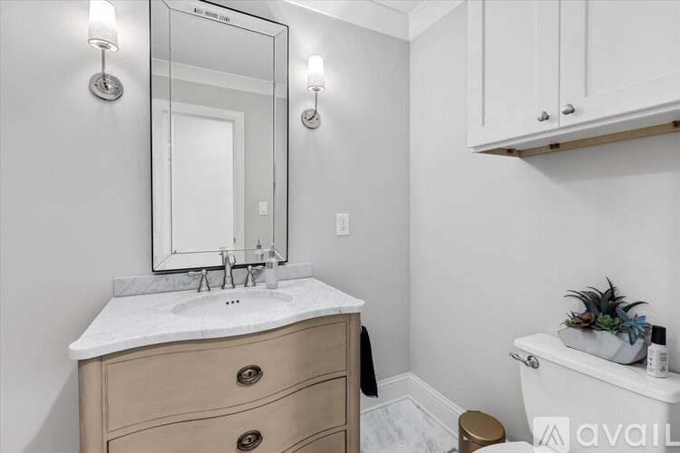 A bathroom with a sink, mirror, and a plant on the toilet.