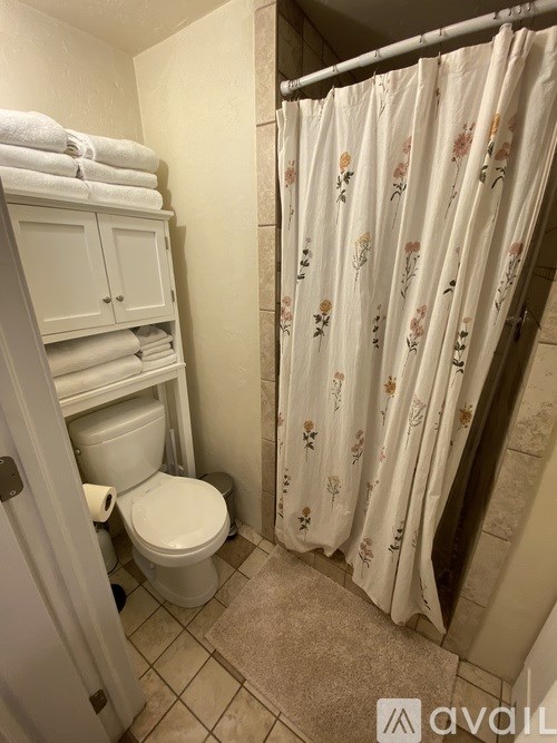 A bathroom with a toilet, a cabinet, and a shower curtain.