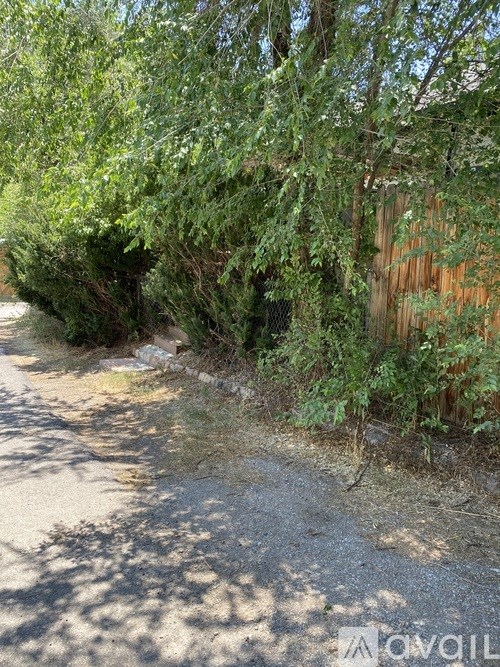 A dirt road is surrounded by greenery and a wooden fence.