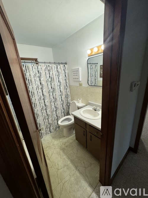 A bathroom with a toilet, sink, and shower curtain.
