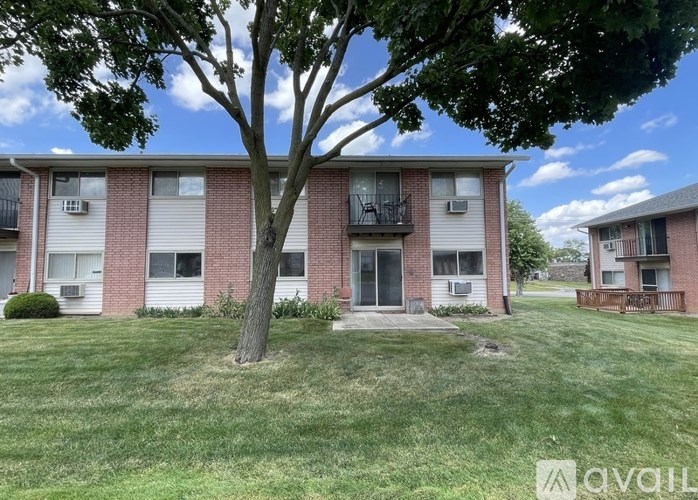 A tree stands in front of a brick apartment building.
