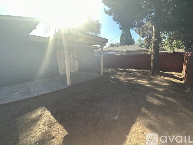 A backyard with a tree and a fence.