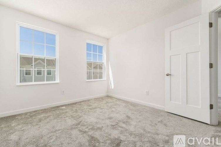 A room with a carpeted floor, two windows, and a door.