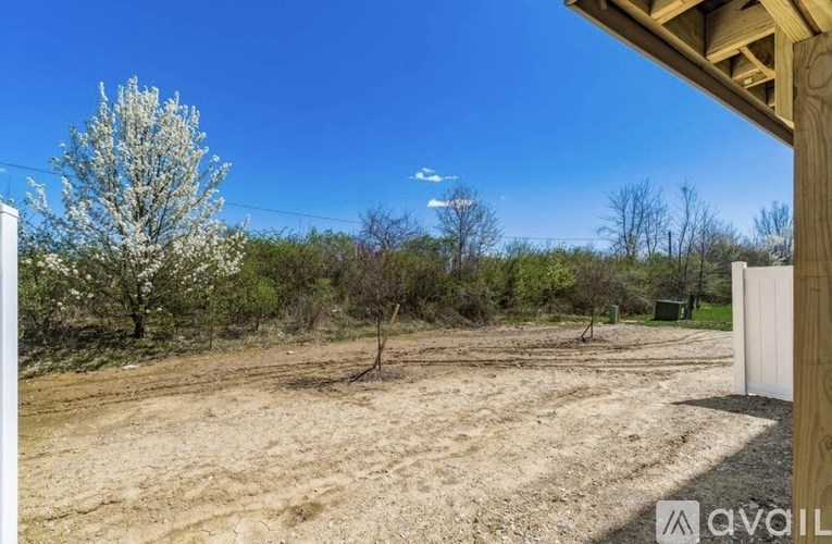 A tree with white flowers stands in a field of dirt.