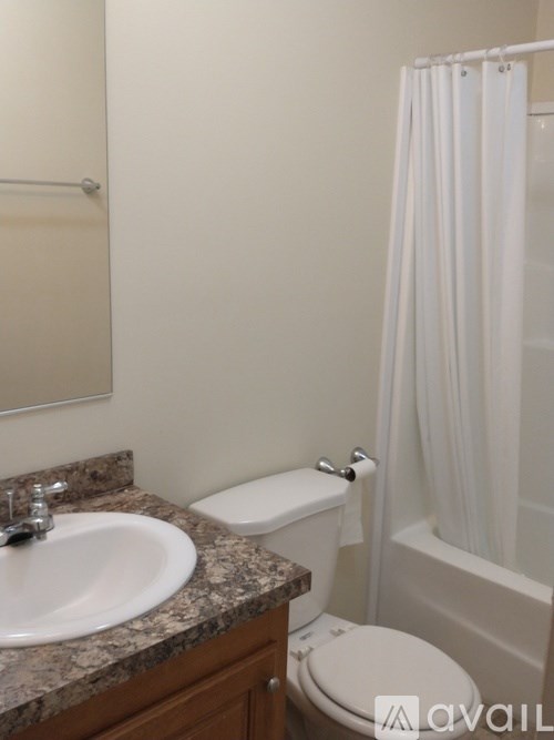 A bathroom with a toilet, sink, and shower.