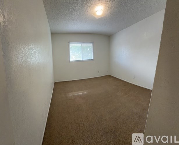 A room with a window and a carpeted floor.