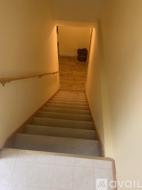A staircase with a light brown carpeted runner and white treads leads up to a door at the top.