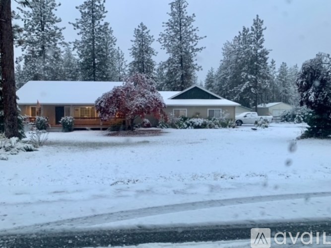 A house with a red tree in front of it.