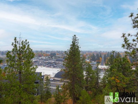 A view of a parking lot surrounded by trees.