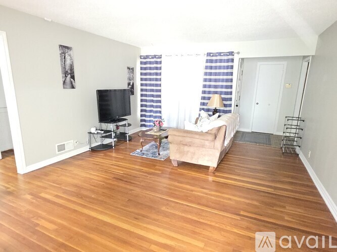 A living room with a couch, television, and a rug.