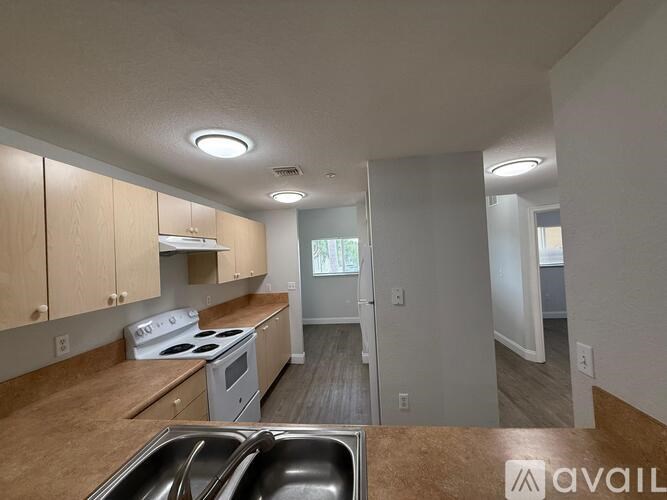 A kitchen with a stove top oven and a dishwasher.