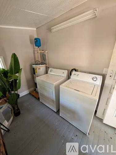 A room with two washing machines and a plant.