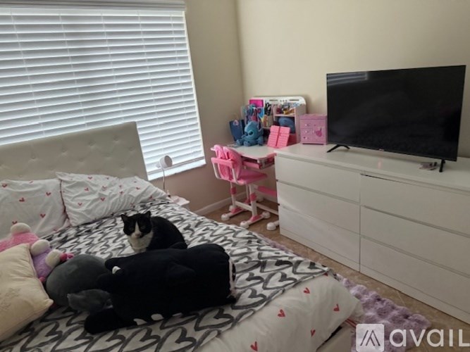 A cat is sitting on a bed with a black blanket and a white pillow.