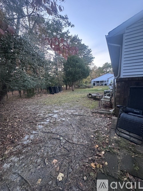 A backyard with a tree and a house.