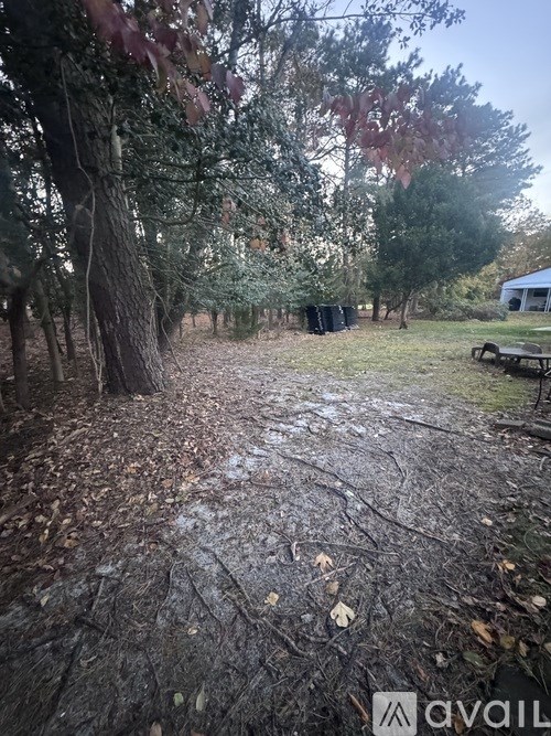 A backyard with a tree and a picnic table.
